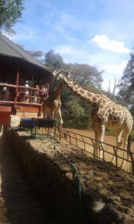 Apartament Kepro Farm Nairobi Zewnętrze zdjęcie