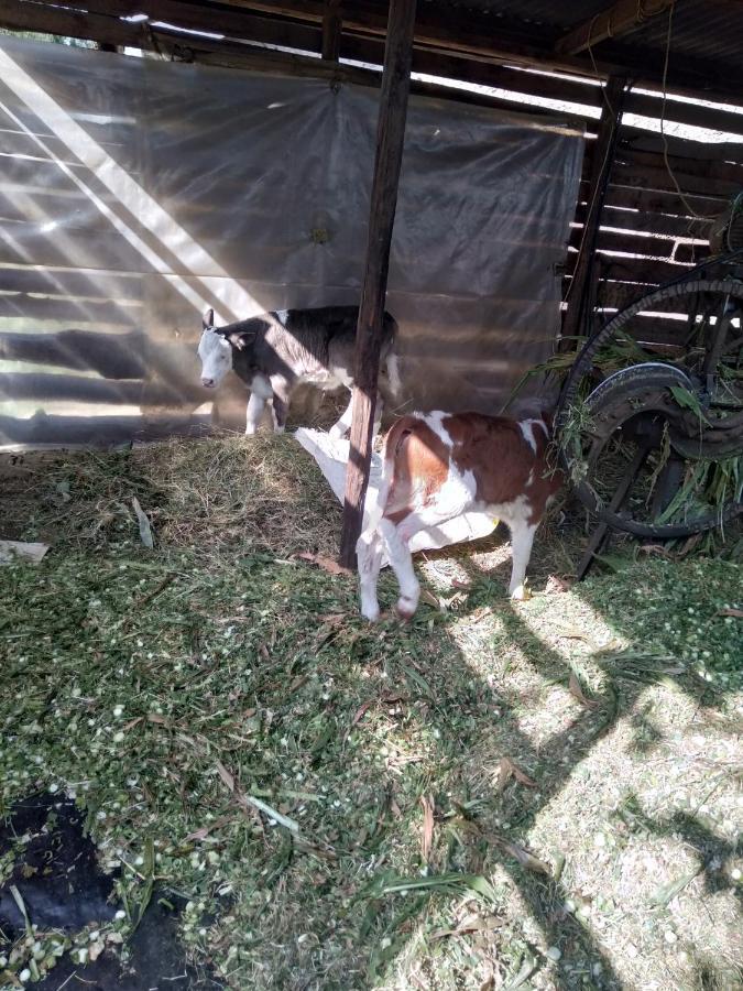 Apartament Kepro Farm Nairobi Zewnętrze zdjęcie